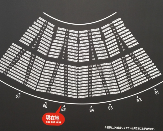 スターズオンアイス 3月28日 アリーナ7列